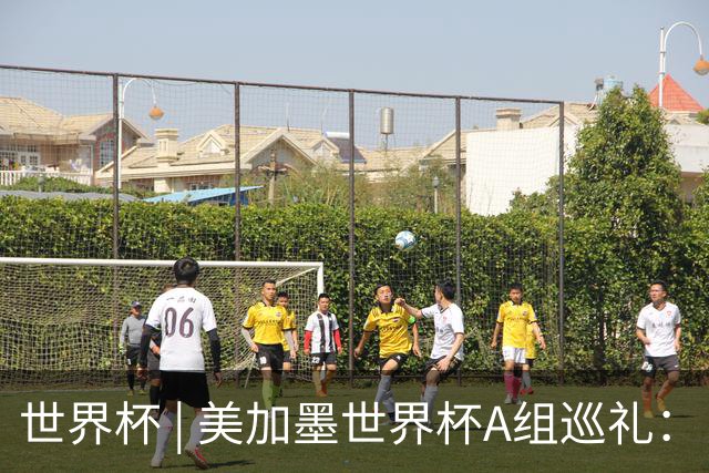 世界杯 | 美加墨世界杯A组巡礼：“四洲混战组”谁能突围？
