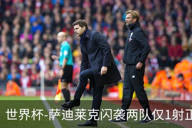 世界杯-萨迪莱克闪袭两队仅1射正 捷克半场暂1-0南非