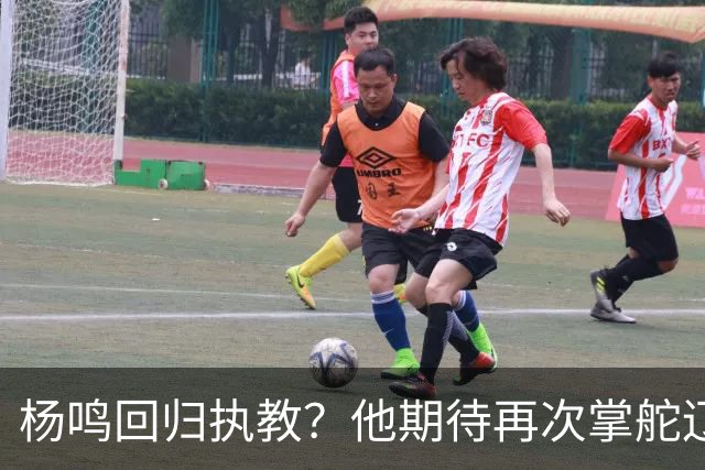 杨鸣回归执教？他期待再次掌舵辽宁男篮