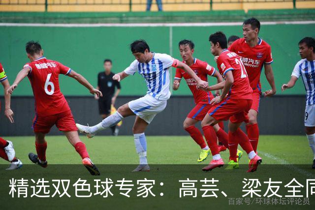 精选双色球专家：高芸、梁友全同中二等279万！